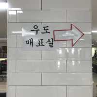 제주도 가면 가봐야 할 곳 ! 우도🏝️