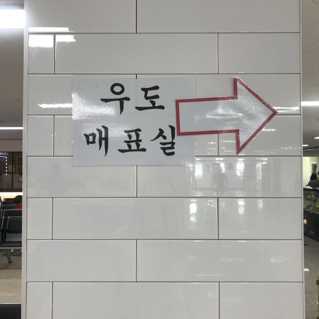 제주도 가면 가봐야 할 곳 ! 우도🏝️