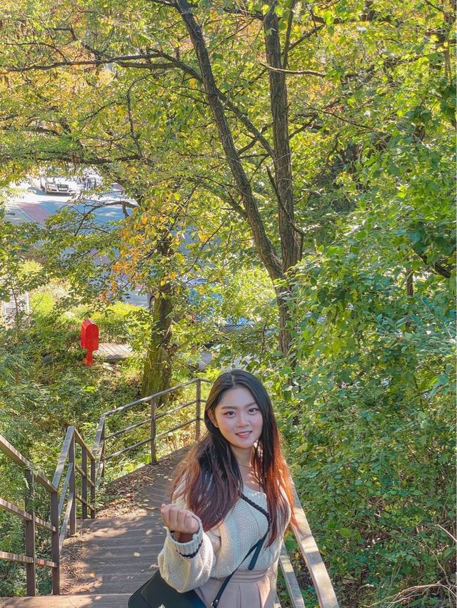 철도길이 아름다운 테마터널, ‘오미자테마터널’