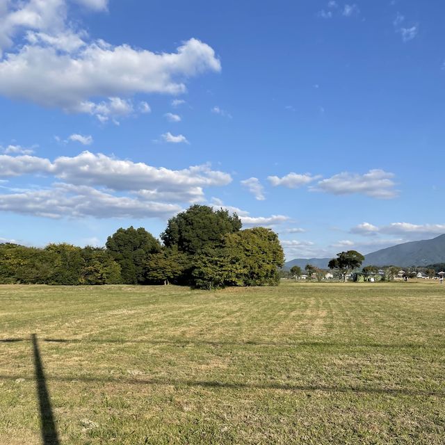 【奈良県】古都奈良のコスモス畑へ