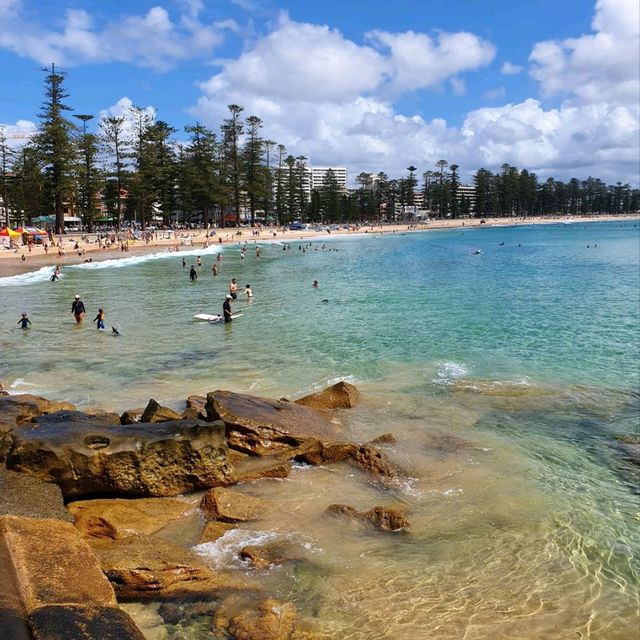 sunny manly beach