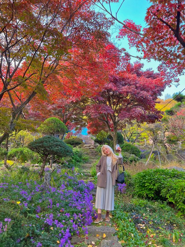 화담숲근처 숲속카페☕️