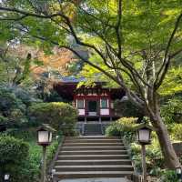 【東京】グランカフェ パティオの朝食ブッフェ