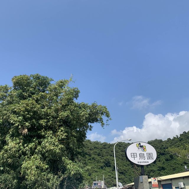 甲鳥園 親近可愛鴨鴨 乾淨 輕鬆的 養鴨農場