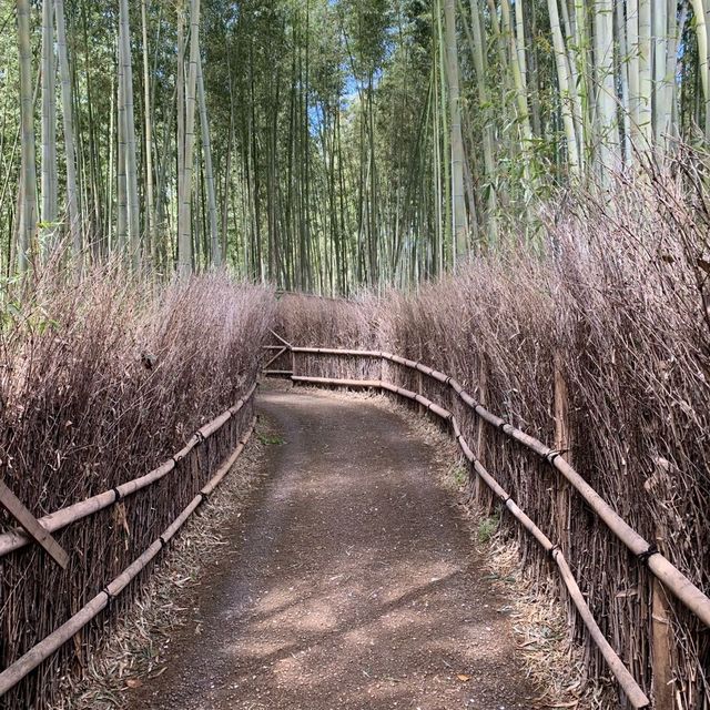 嵐山 竹林之道