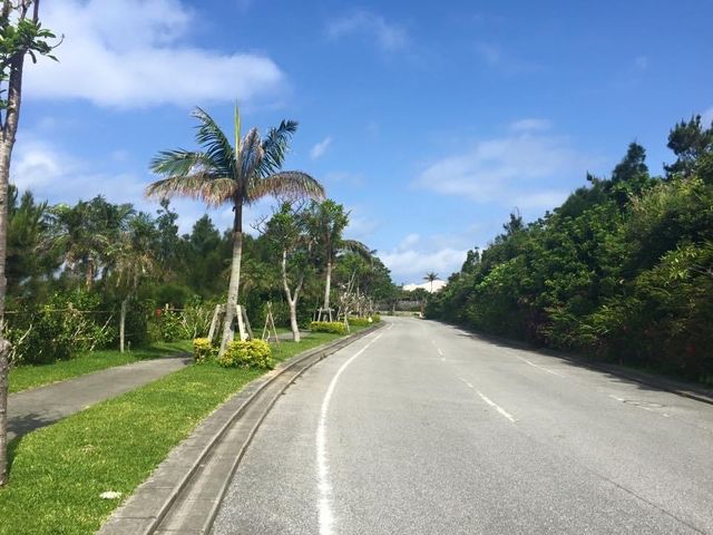 旅遊推介 沖繩站-部瀨名海中公園