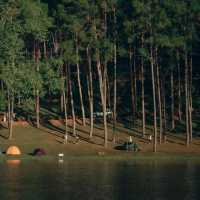 ปางอุ๋ง จ.แม่ฮ่องสอน 🌲🦢