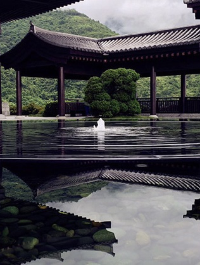 煩囂香港的一處靜謐之地-慈山寺