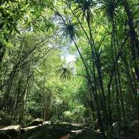 Tranh Waterfall - Phu Quoc, Vietnam 