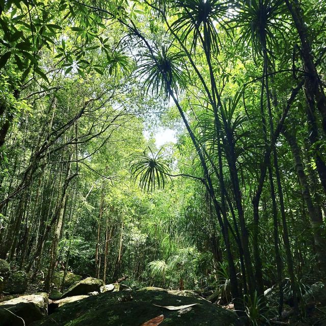 Tranh Waterfall - Phu Quoc, Vietnam 