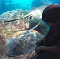 ［江ノ島］新江ノ島水族館
