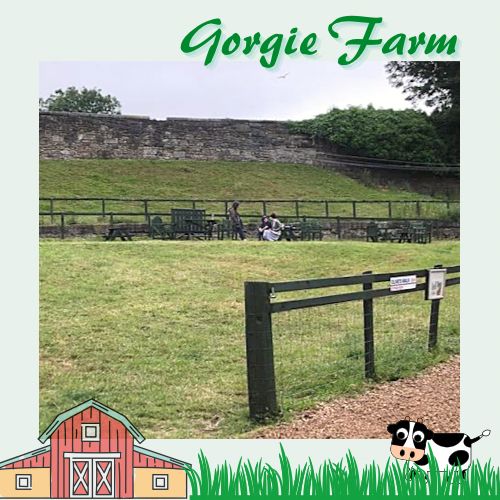 愛丁堡城市中的友好小農場Gorgie Farm