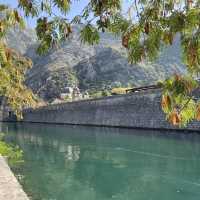 amazing city wall Kotor 