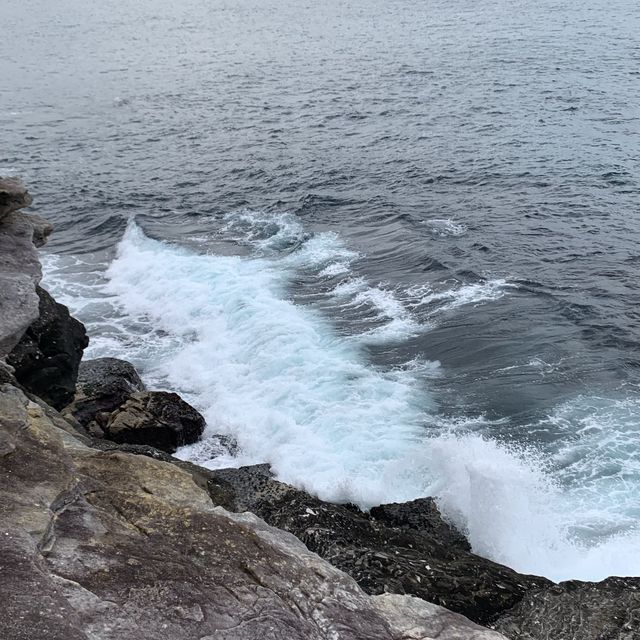 A Surfer Paradise awaits you in Coogee.