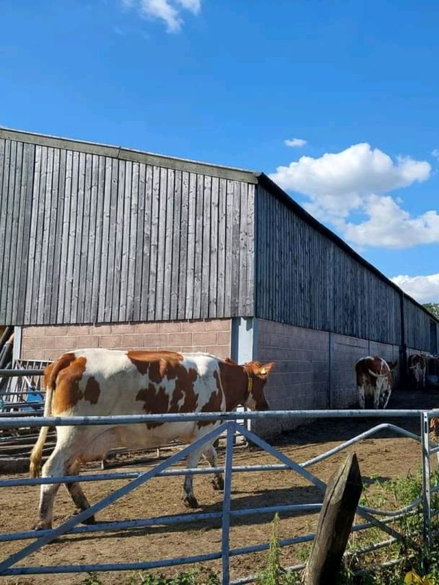 Huddersfield 農場英式下午茶