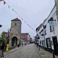Cute Canterbury