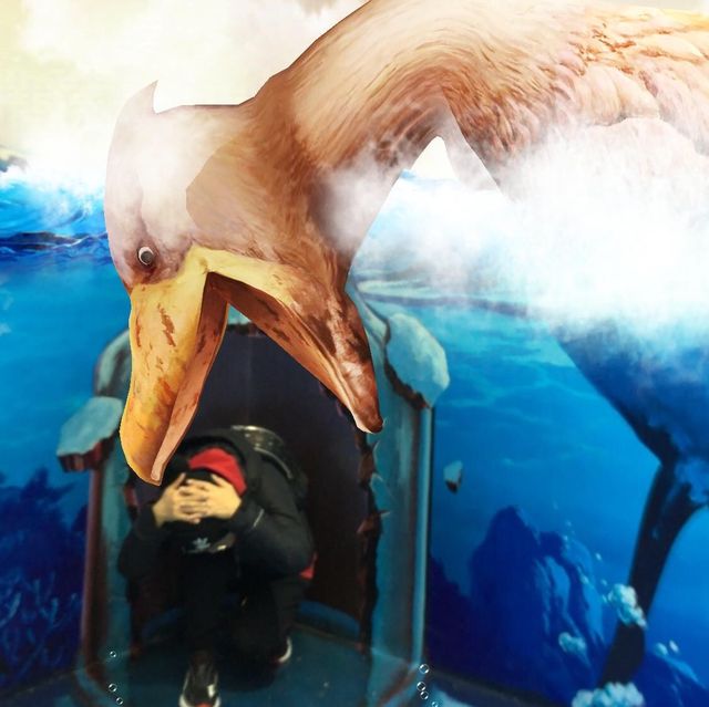 釜山奇趣🤪的錯覺世界Trickeye Museum