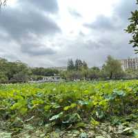 Nanjing - Mochouhu park