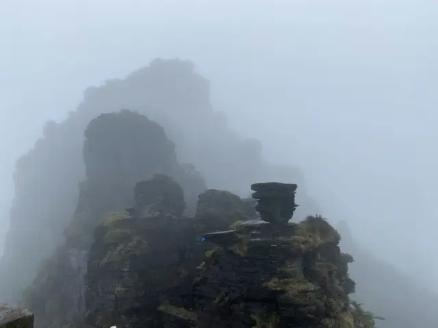 The Mist-erious Fanjing Mountain