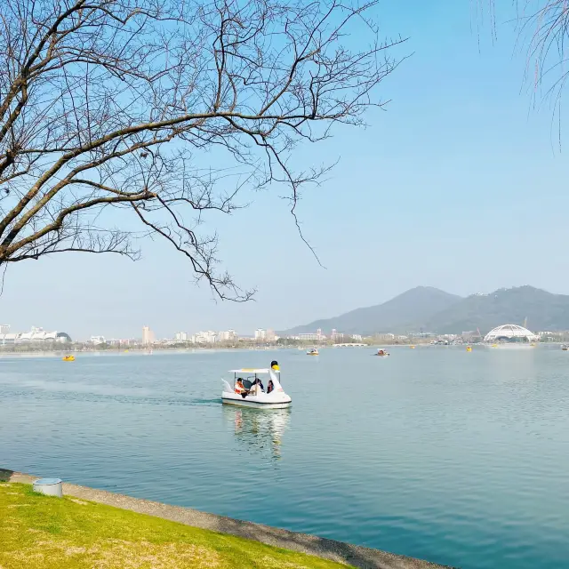 Xuanwu Lake In Spring Time