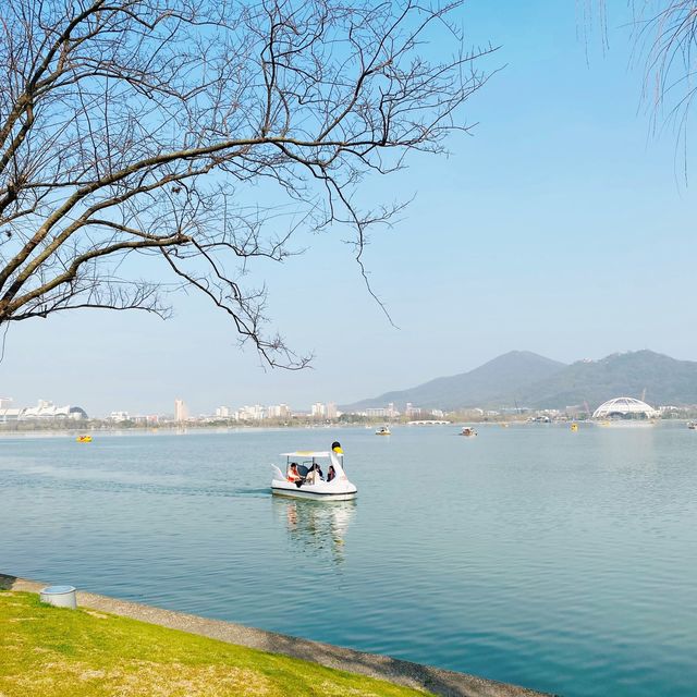 Xuanwu Lake In Spring Time