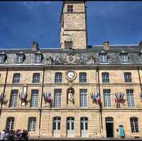 An enchanted city: Dijon - France 🇫🇷 