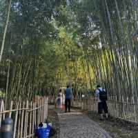 A Very Lively Park in Hongqiao Area