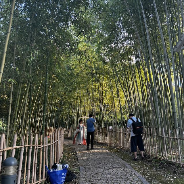 A Very Lively Park in Hongqiao Area