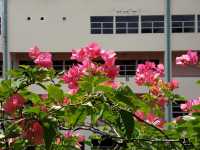 SUNGAI BULOH!
