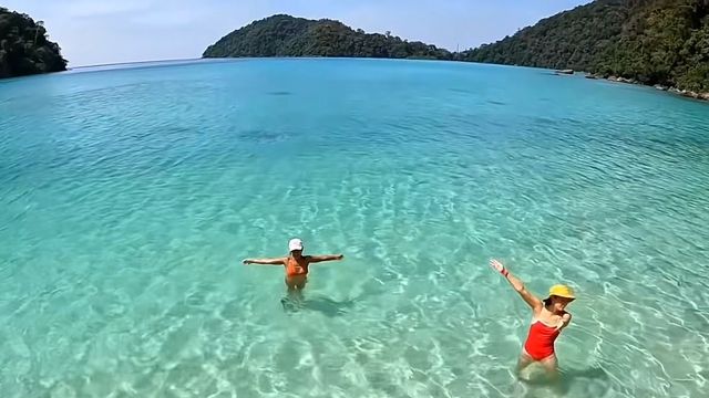 Thailand's coral garden, Koh Similan Island.