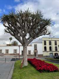 Spanish overseas territories