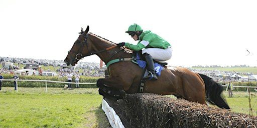 The 2024 OBH Point-to-Point at Lockinge Racecourse | Lockinge Point-to-Point