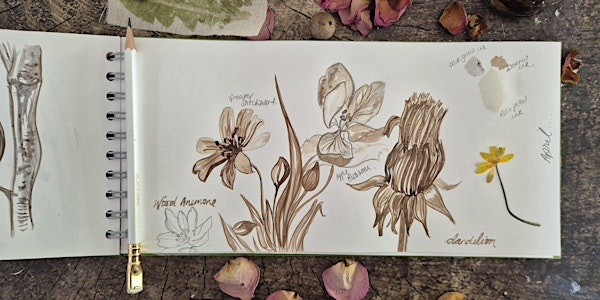 Sketching from Nature - Windsor Great Park, Wednesday 25 June | Windsor Great Park Environmental Centre