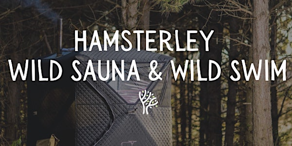 Hamsterley Forest Wild Sauna & Waterfall Swims (2025) | Blackling Hole Car Park