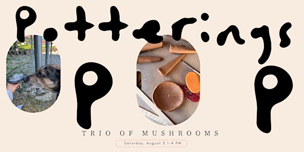 Potterings Trio of Mushrooms | Potterings