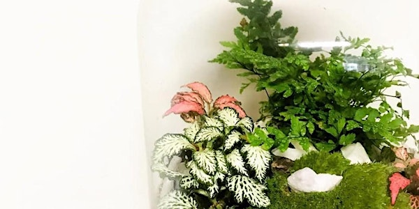 Corked Jar Terrarium Workshop | CC's Hidden Art Club