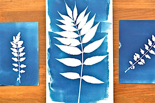 Botanical Cyanotype Printmaking | Toronto Botanical Garden
