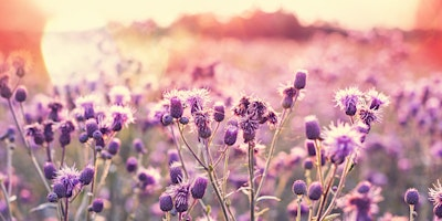 Music for a Summer's Evening | Queens' College, Chapel
