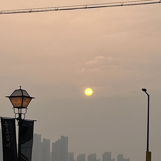 송도 센트럴파크에서 산책하면서 보트타기