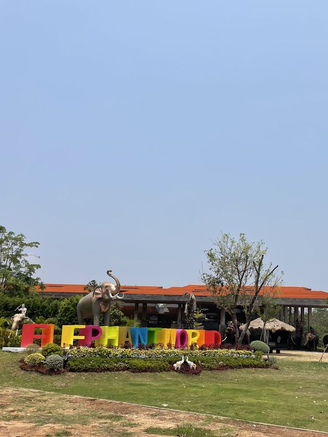 พิพิธภัณฑ์ช้างที่ใหญ่ที่สุดในไทย