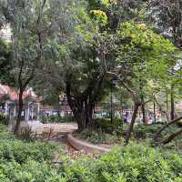 大角咀中式公園賞花｜漸變色橙黃花、烏龜、中式涼亭