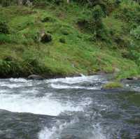 Bali White Water Rafting