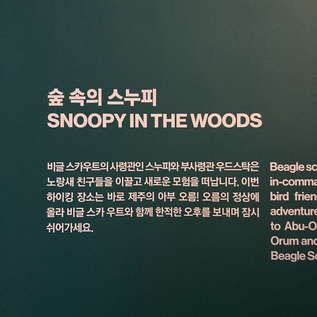 제주 핫플 “스누피가든”
