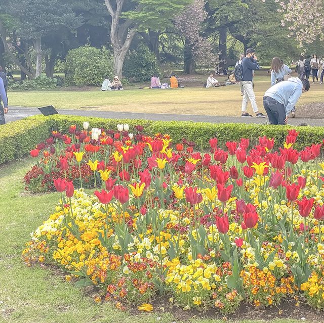 春の新宿御苑散歩