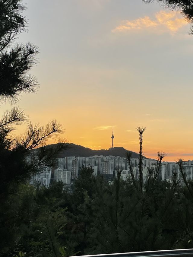 응봉산에서 노을구경 & 야경구경