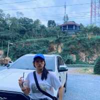 พักผ่อนในบ้านพักริมทาง ชมวิวภูเขามุมมอง180องศา 