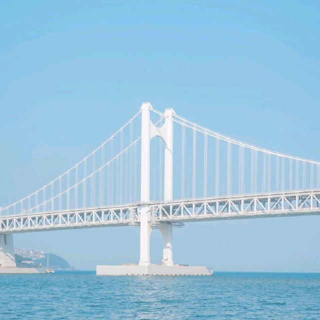 🌊부산 광안리를 색다른 시선으로 느낄 수 있는 [부산, 요트투어]