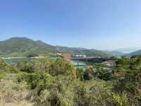 帶你近距離欣賞大欖水塘