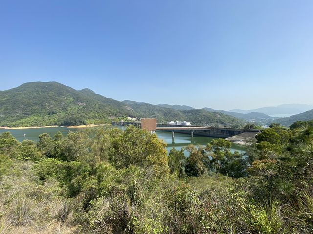 帶你近距離欣賞大欖水塘