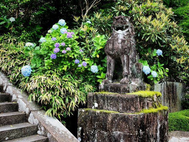 【和歌山】苔むした熊野那智大社